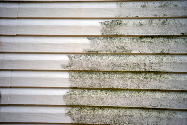 Best Dumpster Rental Services  in Ridge Wood Heights, FL